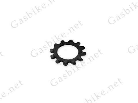 Spring Gasket