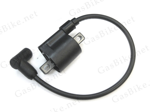 Capacitor 80CC Gas Motorized Bicycle